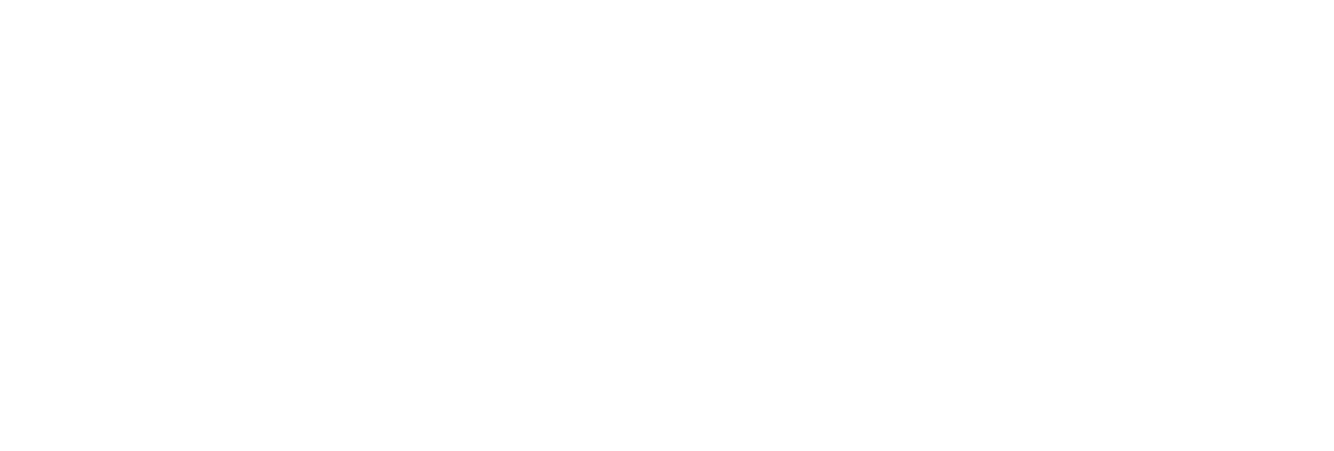 FUNCTION WORKS INC.